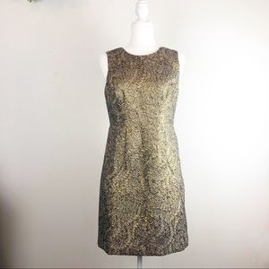 Ann Taylor sleeveless dress 8P